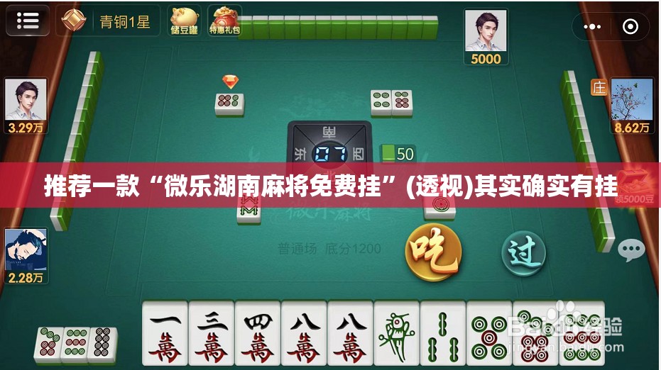 推荐一款“微乐湖南麻将免费挂”(透视)其实确实有挂