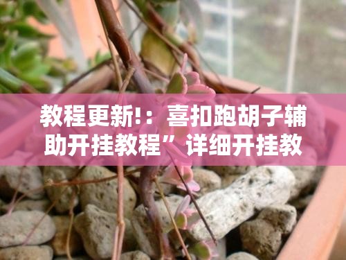 教程更新!：喜扣跑胡子辅助开挂教程”详细开挂教程