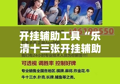 开挂辅助工具“乐清十三张开挂辅助器通用版	”细辅助教程分享