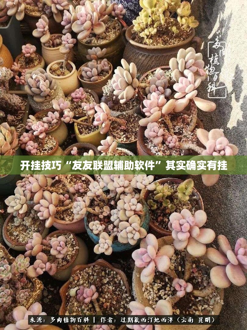 开挂技巧“友友联盟辅助软件	”其实确实有挂