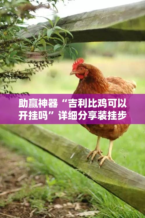 助赢神器“吉利比鸡可以开挂吗”详细分享装挂步骤
