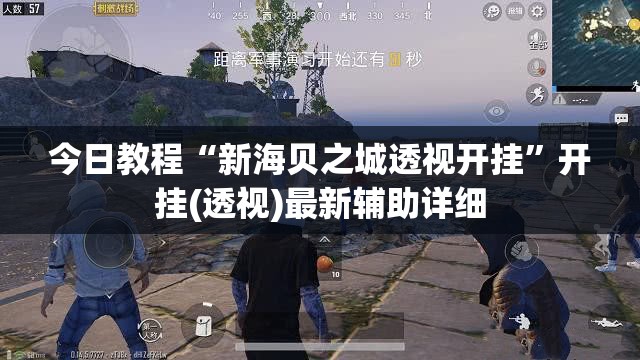 今日教程“新海贝之城透视开挂”开挂(透视)最新辅助详细
