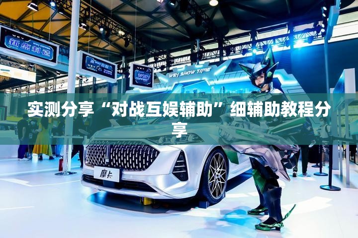 实测分享“对战互娱辅助”细辅助教程分享