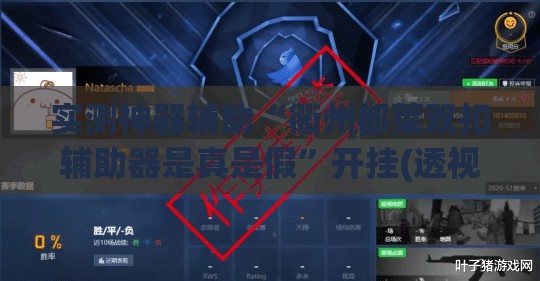 实测神器辅助“衢州都莱双扣辅助器是真是假”开挂(透视)辅助教程