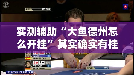 实测辅助“大鱼德州怎么开挂”其实确实有挂