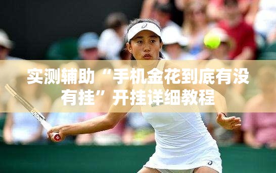 实测辅助“手机金花到底有没有挂”开挂详细教程