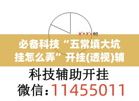 必备科技“五常填大坑挂怎么弄”开挂(透视)辅助教程