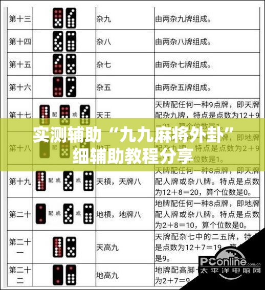 实测辅助“九九麻将外卦”细辅助教程分享
