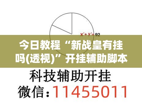 今日教程“新战皇有挂吗(透视)	”开挂辅助脚本+详细开挂安装教程