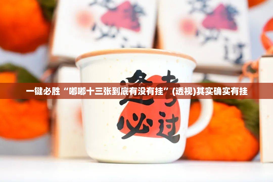 一键必胜“嘟嘟十三张到底有没有挂”(透视)其实确实有挂