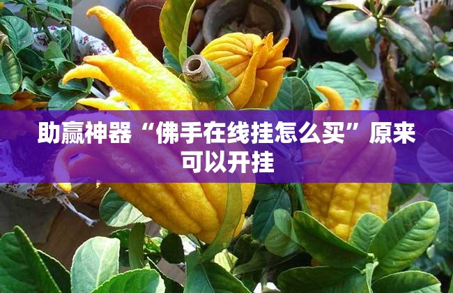 助赢神器“佛手在线挂怎么买”原来可以开挂