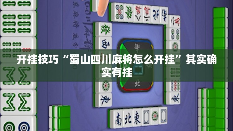 开挂技巧“蜀山四川麻将怎么开挂”其实确实有挂