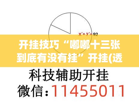 开挂技巧“嘟嘟十三张到底有没有挂”开挂(透视)辅助教程