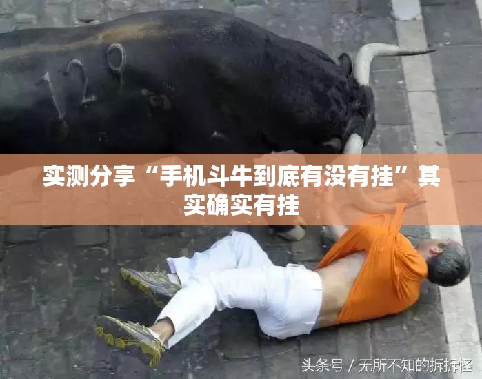 实测分享“手机斗牛到底有没有挂”其实确实有挂