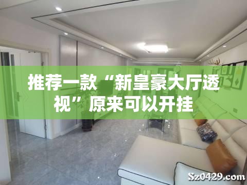 推荐一款“新皇豪大厅透视”原来可以开挂