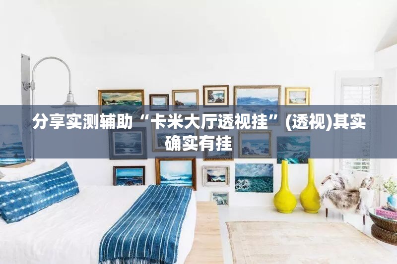 分享实测辅助“卡米大厅透视挂”(透视)其实确实有挂