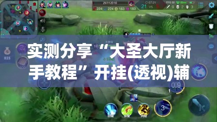 实测分享“大圣大厅新手教程”开挂(透视)辅助神器