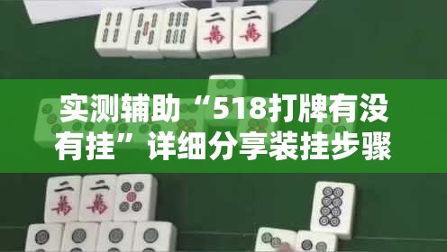 实测辅助“518打牌有没有挂”详细分享装挂步骤