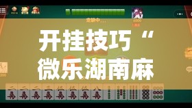 开挂技巧“微乐湖南麻将有挂吗多少钱”详细开挂教程