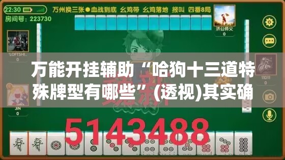 万能开挂辅助“哈狗十三道特殊牌型有哪些”(透视)其实确实有挂