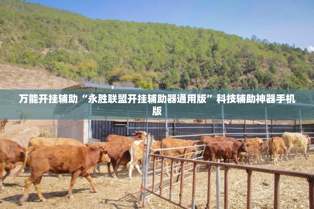 万能开挂辅助“永胜联盟开挂辅助器通用版”科技辅助神器手机版