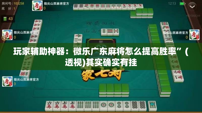 玩家辅助神器：微乐广东麻将怎么提高胜率	”(透视)其实确实有挂