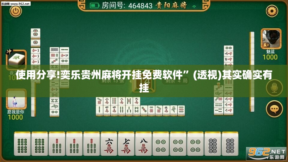 使用分享!奕乐贵州麻将开挂免费软件	”(透视)其实确实有挂