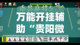 万能开挂辅助“贵阳微乐捉鸡麻将开挂辅助器通用版”2026开挂教程步骤