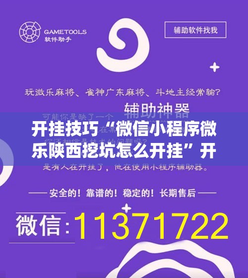 开挂技巧“微信小程序微乐陕西挖坑怎么开挂”开挂(透视)辅助教程
