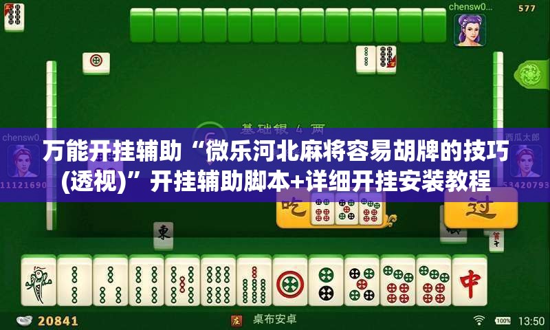 万能开挂辅助“微乐河北麻将容易胡牌的技巧(透视)	”开挂辅助脚本+详细开挂安装教程