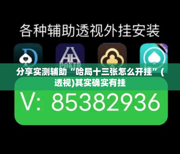 分享实测辅助“哈局十三张怎么开挂”(透视)其实确实有挂