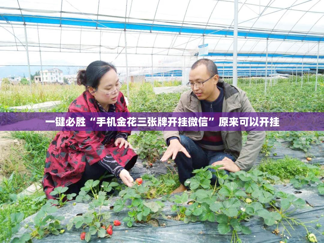 一键必胜“手机金花三张牌开挂微信	”原来可以开挂