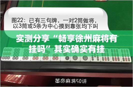 实测分享“畅享徐州麻将有挂吗”其实确实有挂
