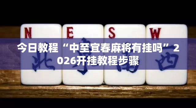 今日教程“中至宜春麻将有挂吗”2026开挂教程步骤