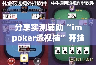 分享实测辅助“impoker透视挂	”开挂详细教程