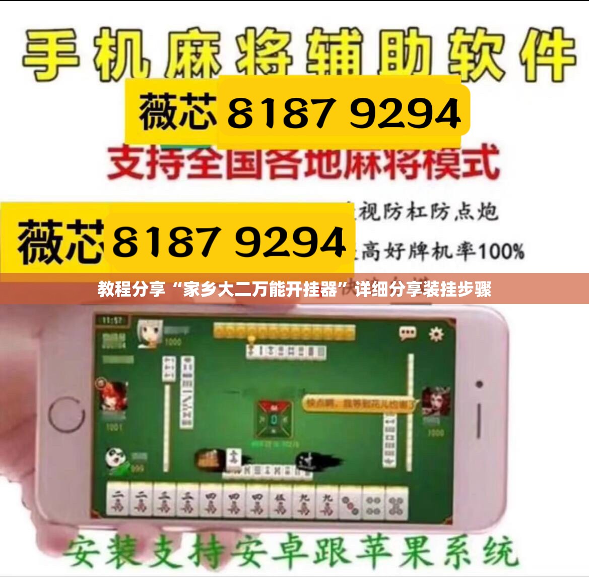 教程分享“家乡大二万能开挂器”详细分享装挂步骤