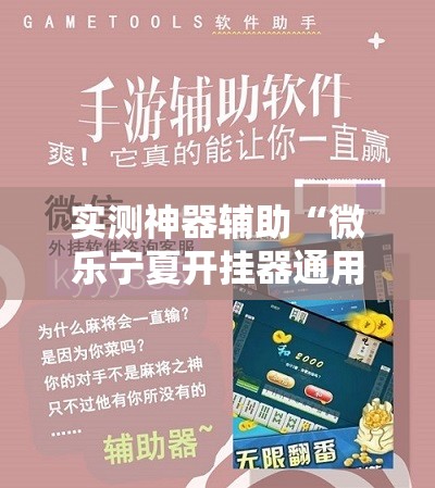 实测神器辅助“微乐宁夏开挂器通用版”细辅助教程分享