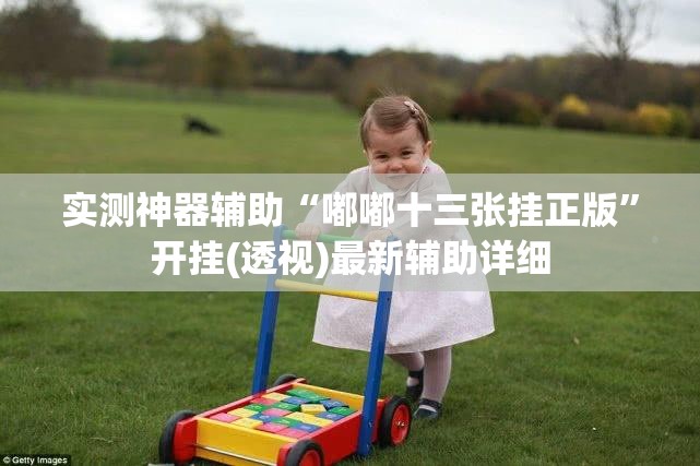 实测神器辅助“嘟嘟十三张挂正版”开挂(透视)最新辅助详细