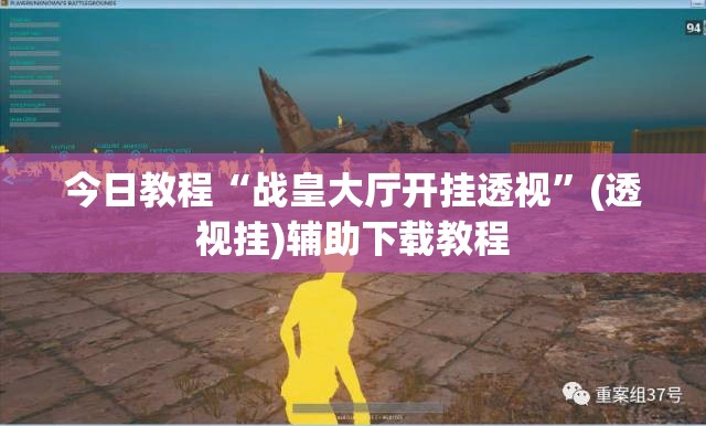 今日教程“战皇大厅开挂透视”(透视挂)辅助下载教程