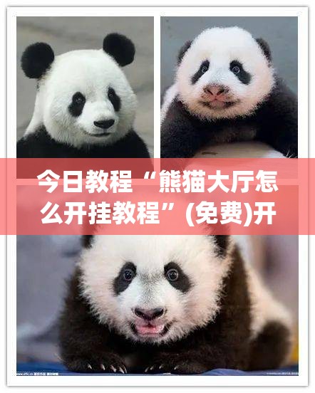 今日教程“熊猫大厅怎么开挂教程	”(免费)开挂辅助教学(最新辅助开挂教程)