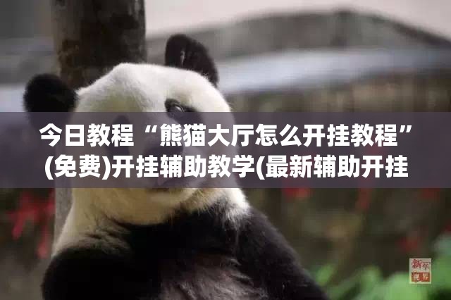 今日教程“熊猫大厅怎么开挂教程	”(免费)开挂辅助教学(最新辅助开挂教程)