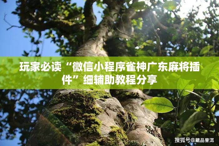 玩家必读“微信小程序雀神广东麻将插件”细辅助教程分享