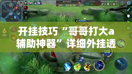 开挂技巧“哥哥打大a辅助神器”详细外挂透视辅助软件教程
