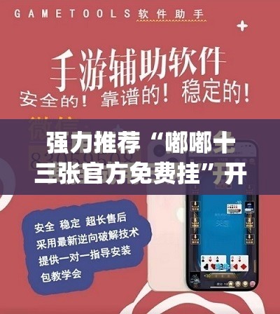 强力推荐“嘟嘟十三张官方免费挂”开挂(透视)最新辅助详细