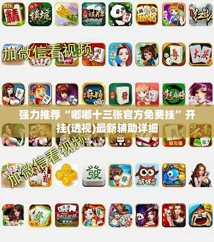 强力推荐“嘟嘟十三张官方免费挂”开挂(透视)最新辅助详细
