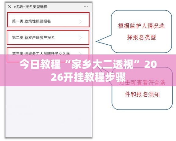 今日教程“家乡大二透视”2026开挂教程步骤