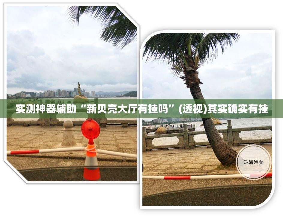 实测神器辅助“新贝壳大厅有挂吗”(透视)其实确实有挂