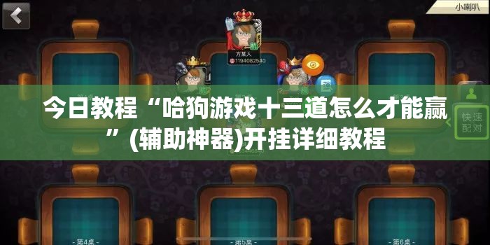 今日教程“哈狗游戏十三道怎么才能赢”(辅助神器)开挂详细教程