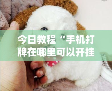 今日教程“手机打牌在哪里可以开挂	”开挂(透视)辅助神器