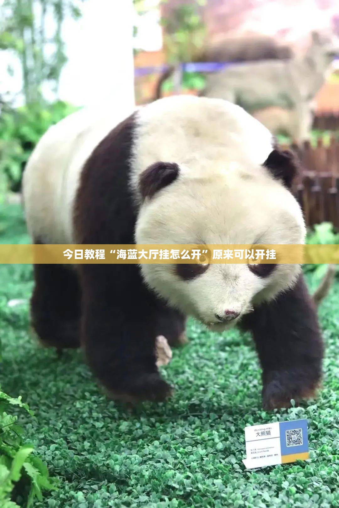 今日教程“海蓝大厅挂怎么开”原来可以开挂